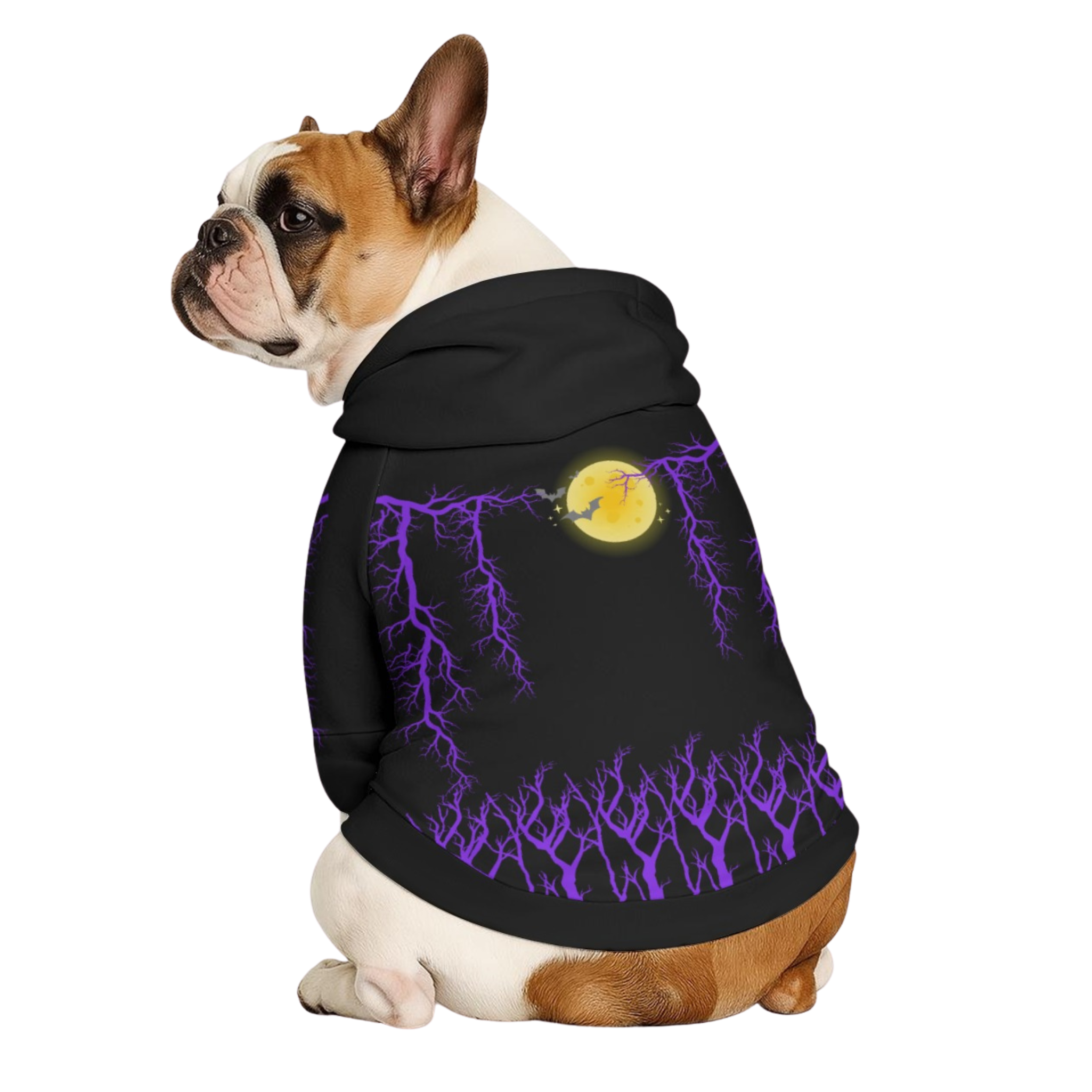 Midnight Pet Hoodie and Cloak
