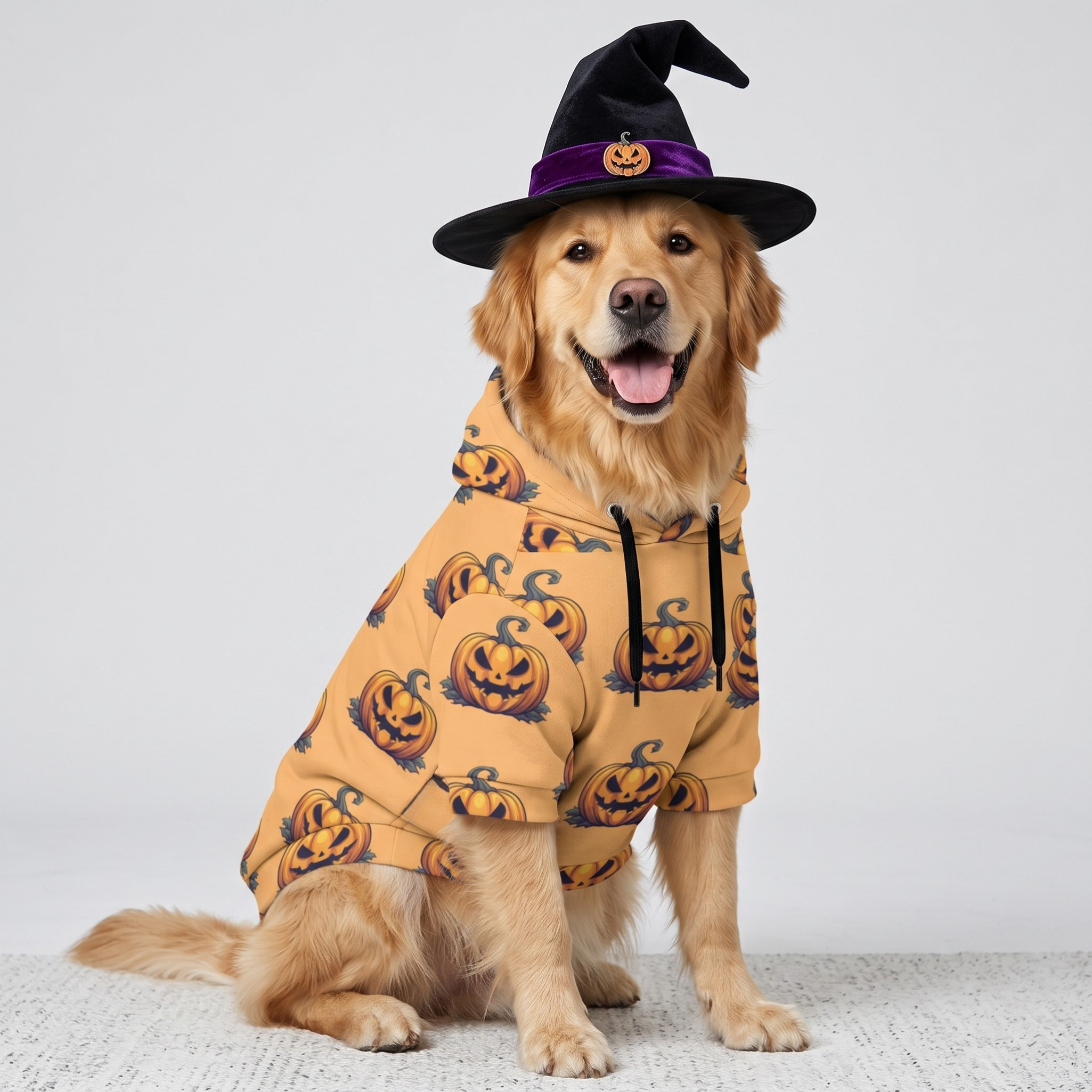 Adult and Pet Hoodie Set