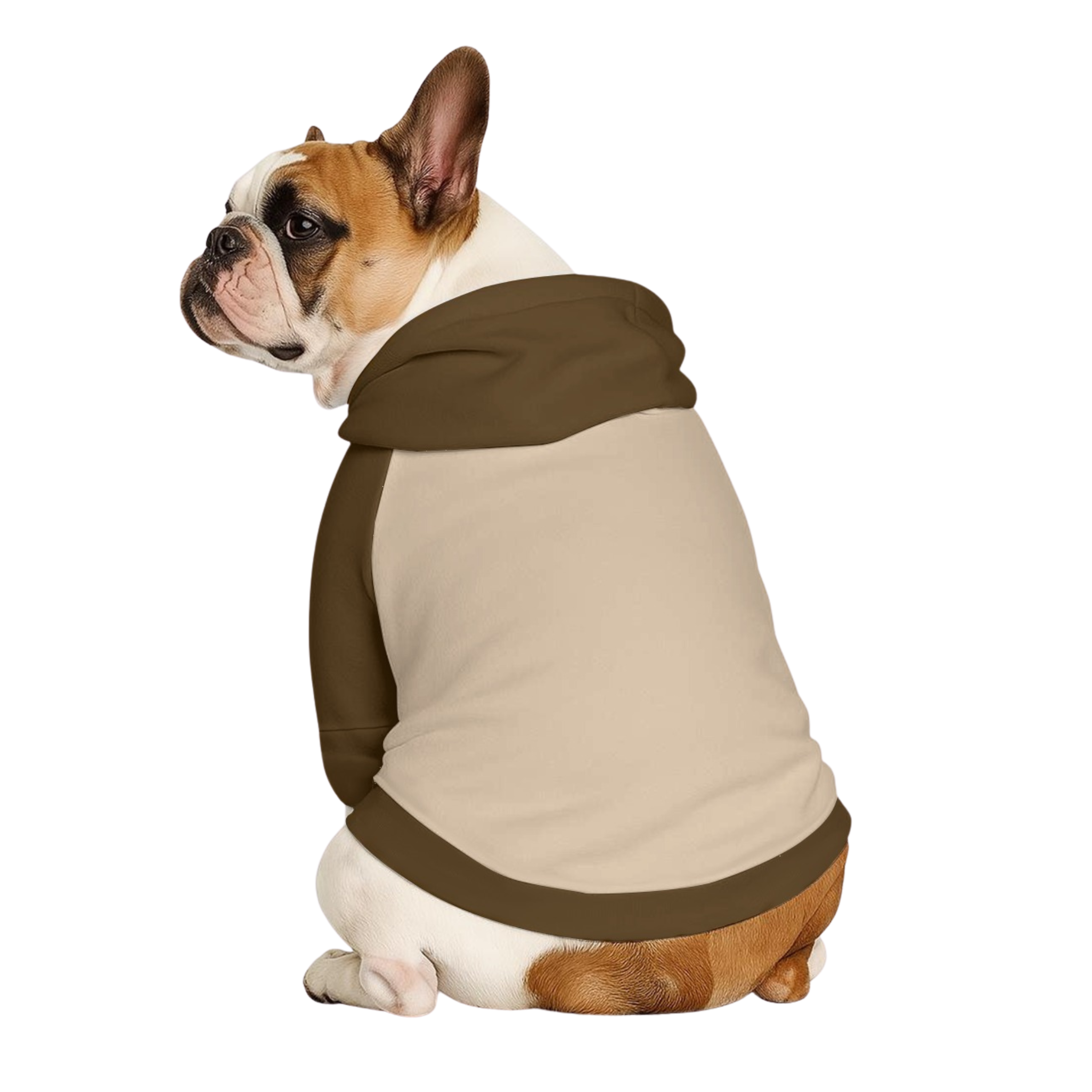 Beige & Brown Bodysuite and Pet Hoodie