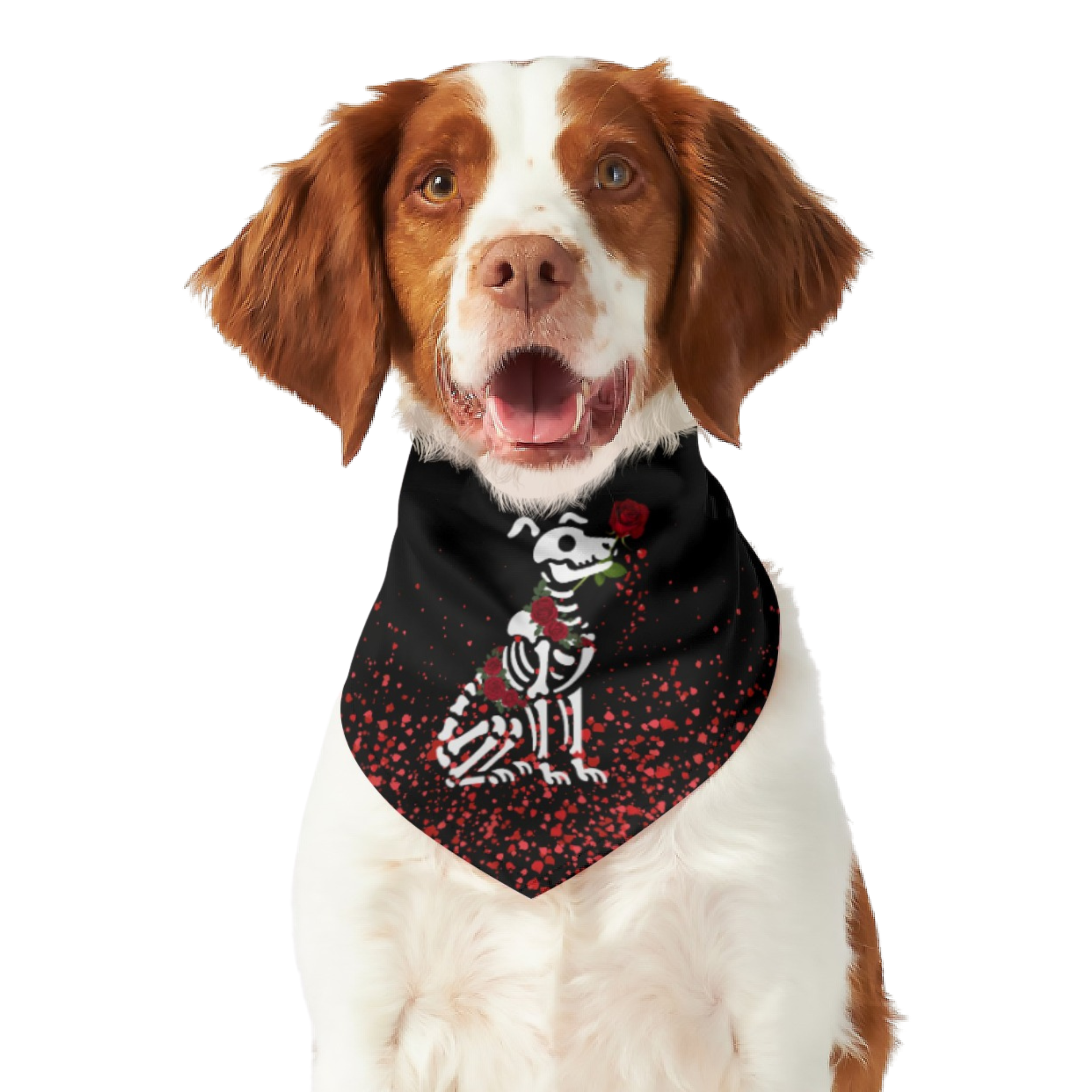 Women's Dress, Pet Bandana & Tank