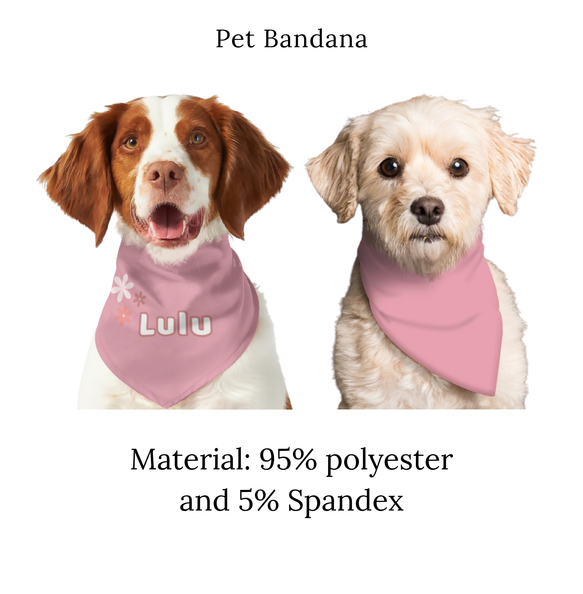 Custom Pet Bandana & Lounge Set
