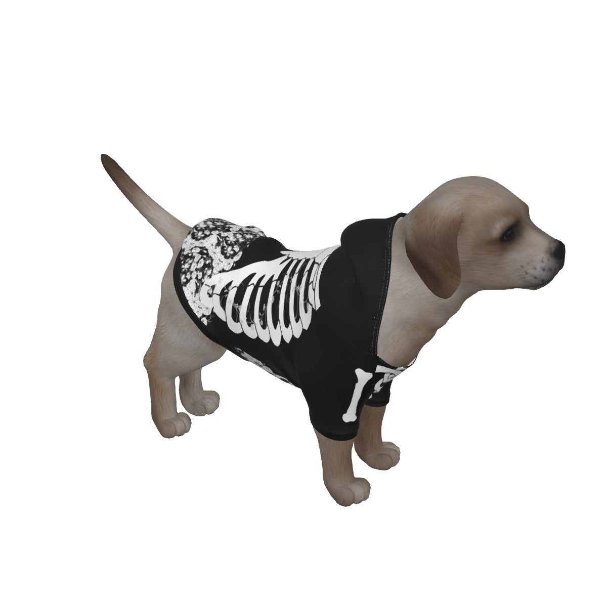Skeleton Dress and Pet Hoodie
