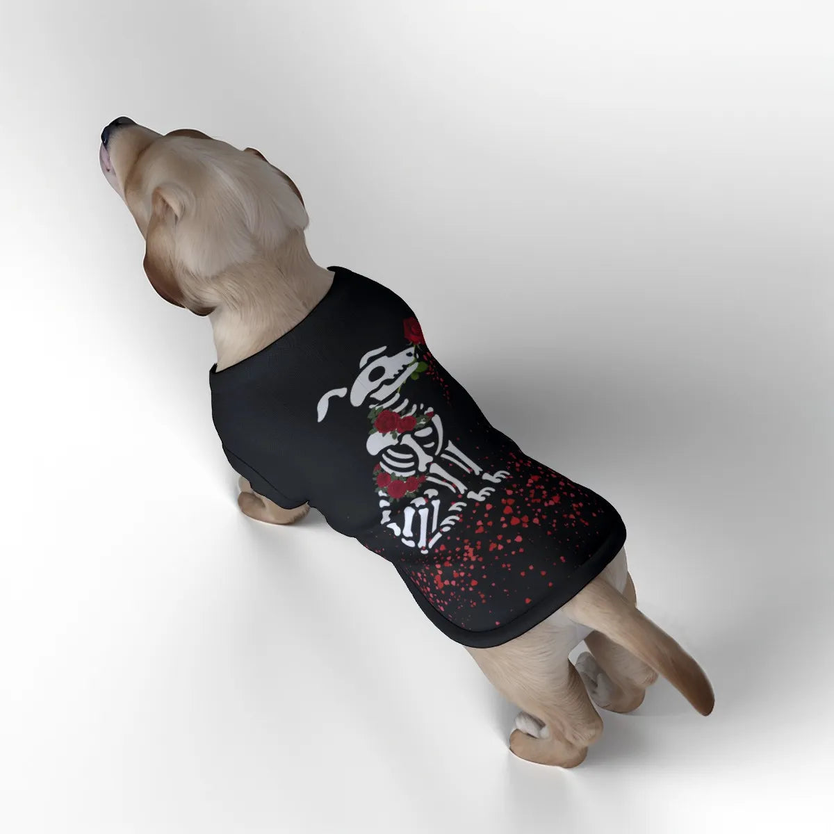 Women's Dress, Pet Bandana & Tank