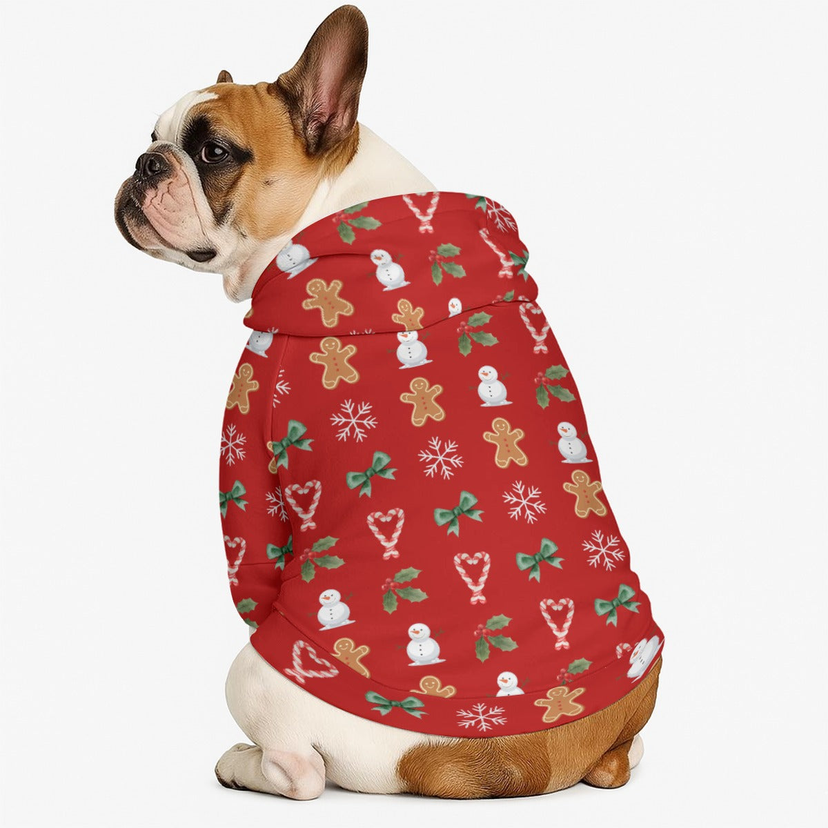 Red Hoodie Set| Kids & Pets
