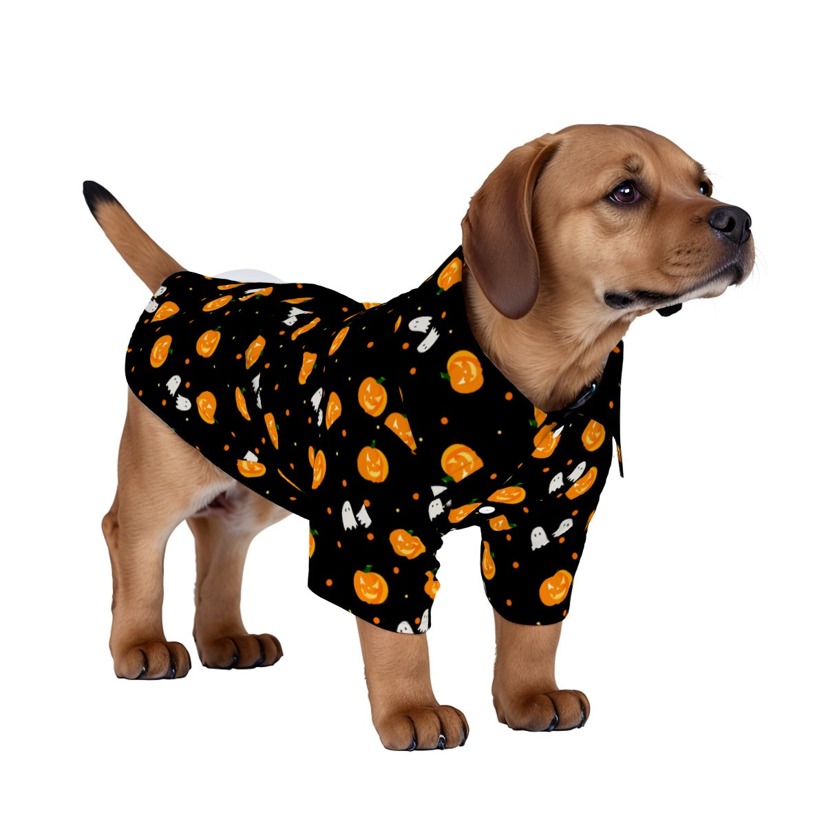 Kid and Pet Pajamas