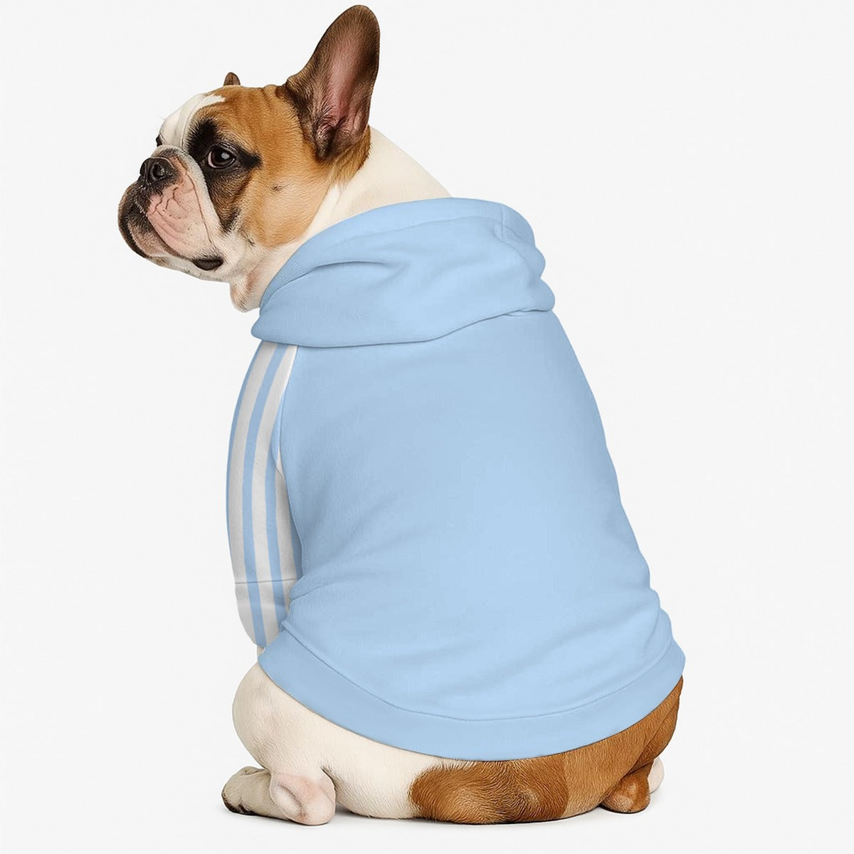 Blue Striped Bodysuit & Pet Hoodie