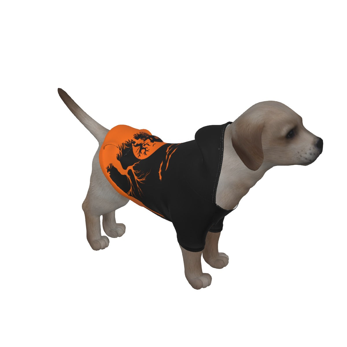 Kaftan Robe and Pet Hoodie