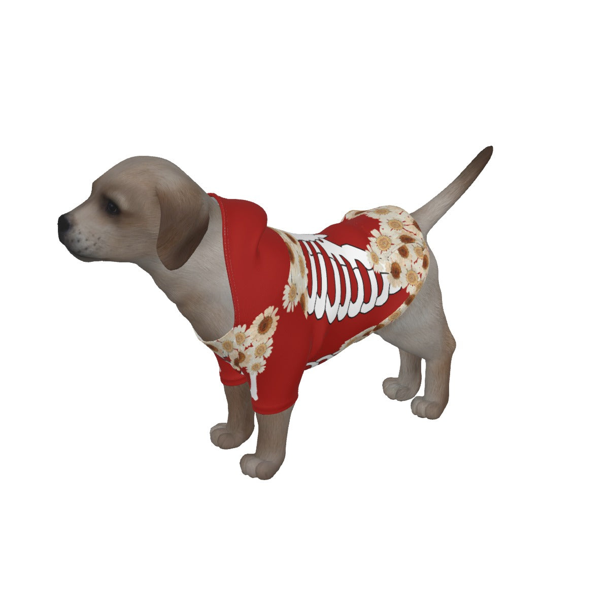 Red Skeleton Dress & Pet Hoodie