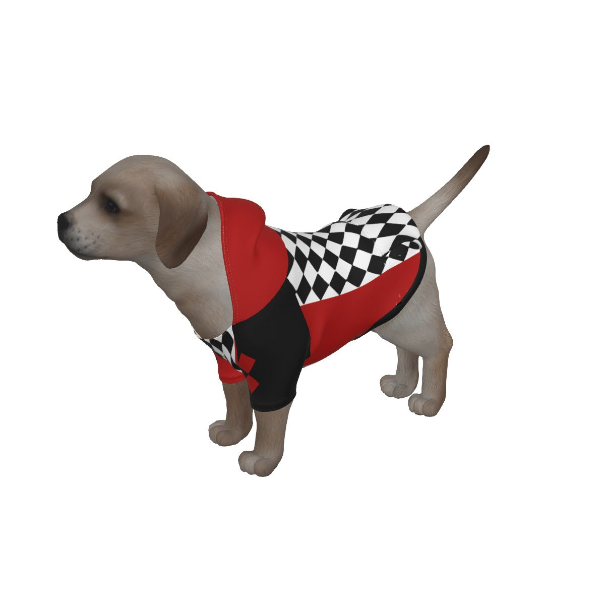 Harlequin Jester Dress & Pet Hoodie