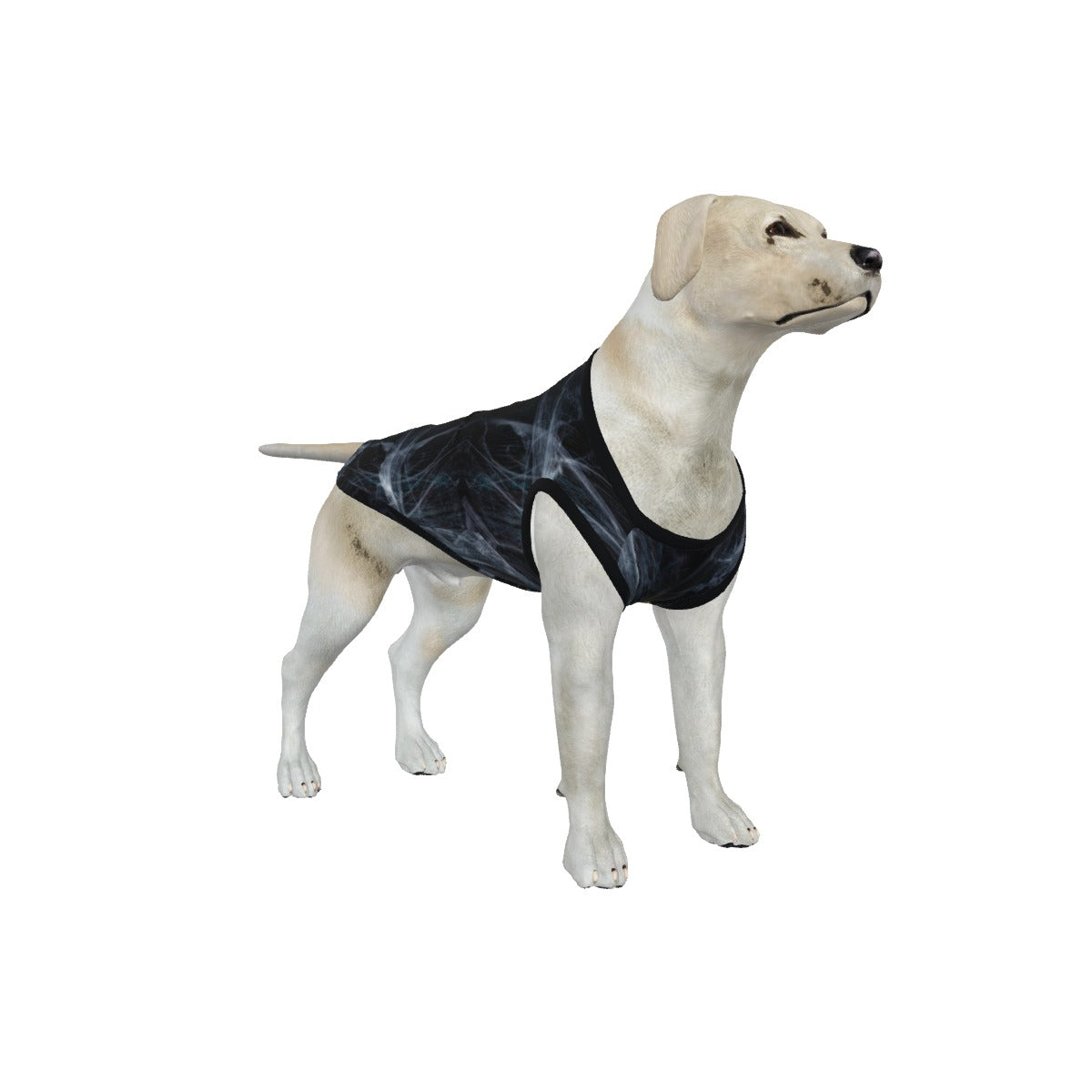 Cat eye Women's Dress, Pet Bandana and Tank