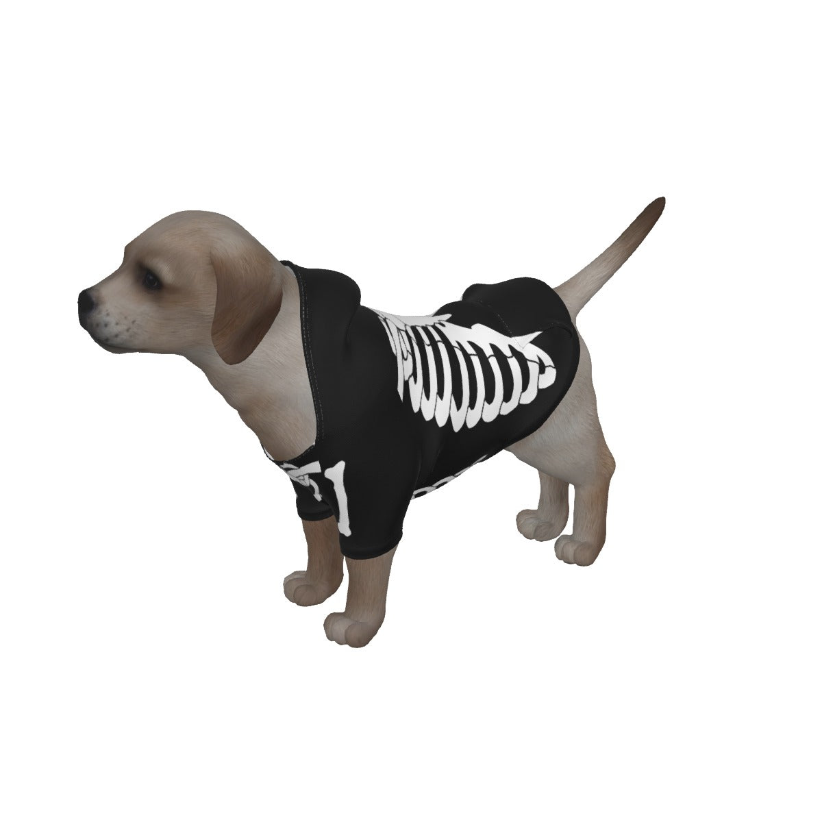 Kid's Dress and Pet Hoodie