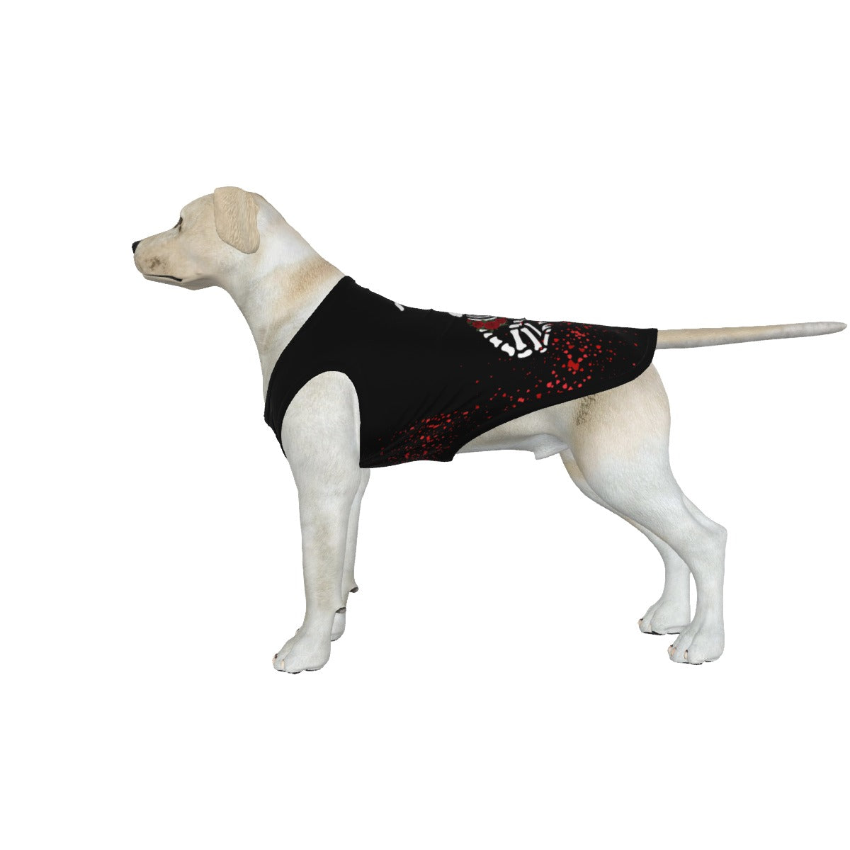 Women's Dress, Pet Bandana & Tank