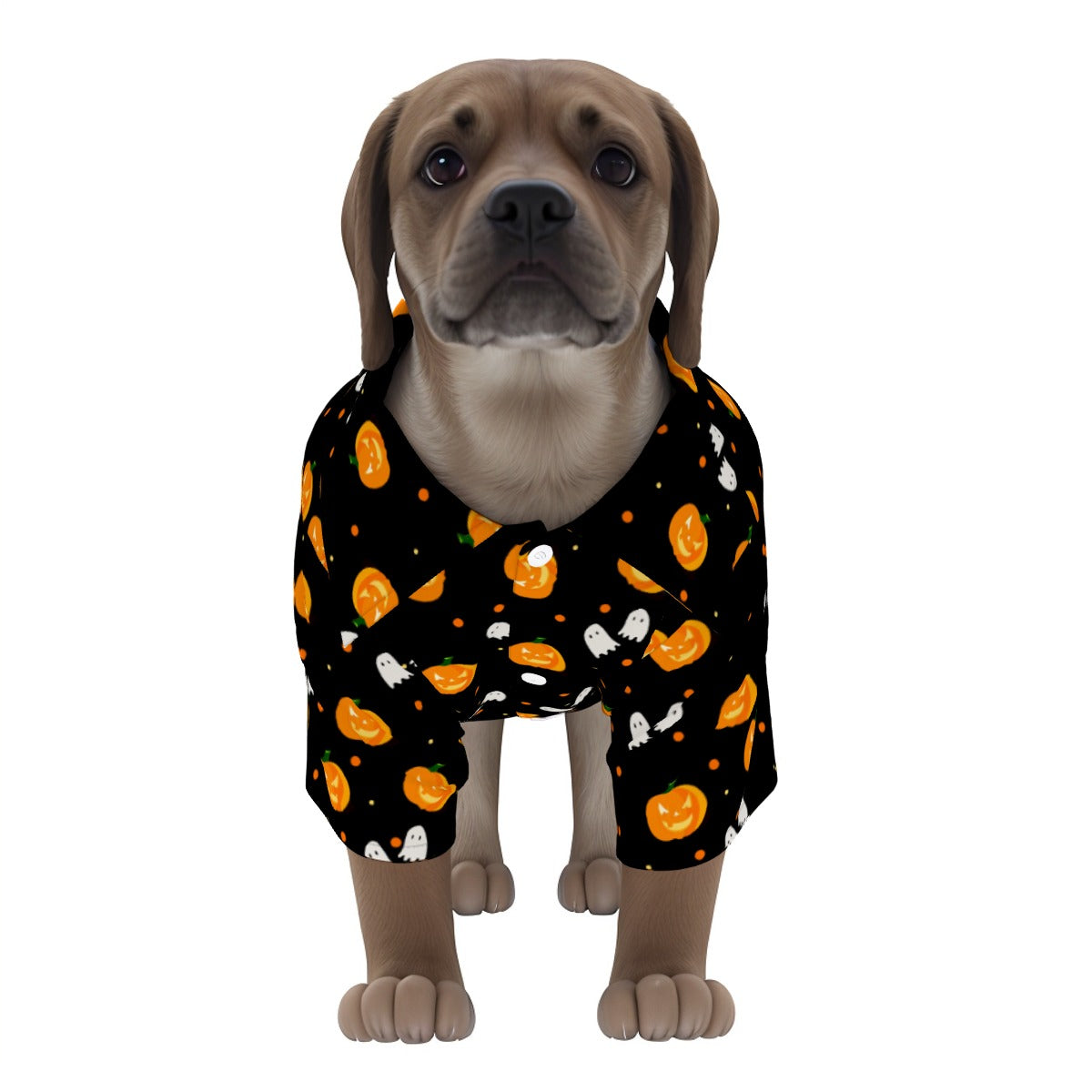 Kid and Pet Pajamas