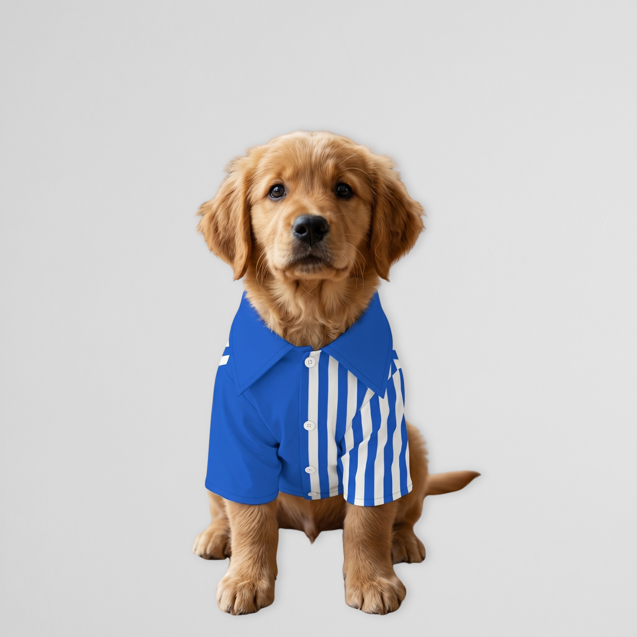 Blue Striped Set & Pet Shirt