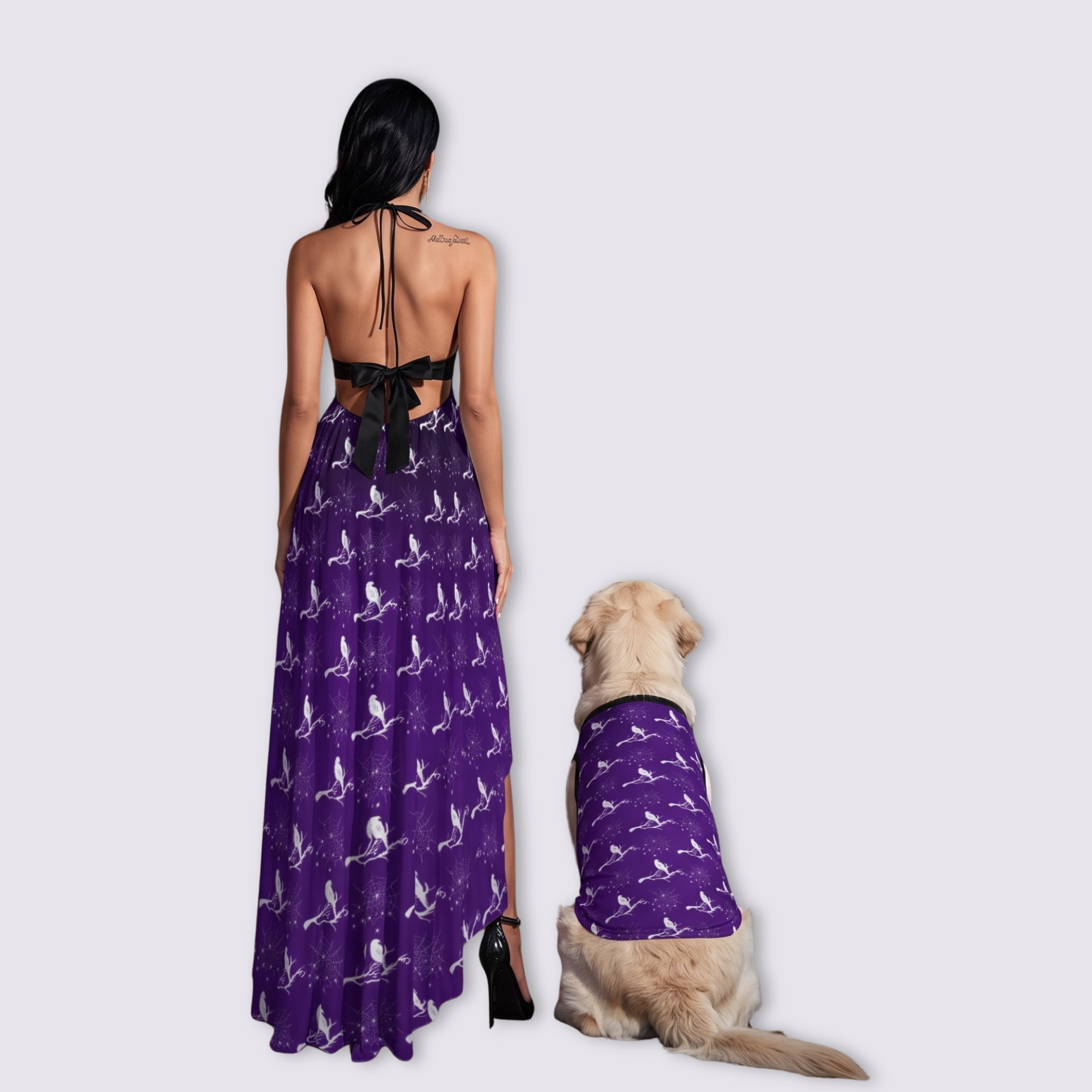 Mesh Lace Dress and Pet Tank