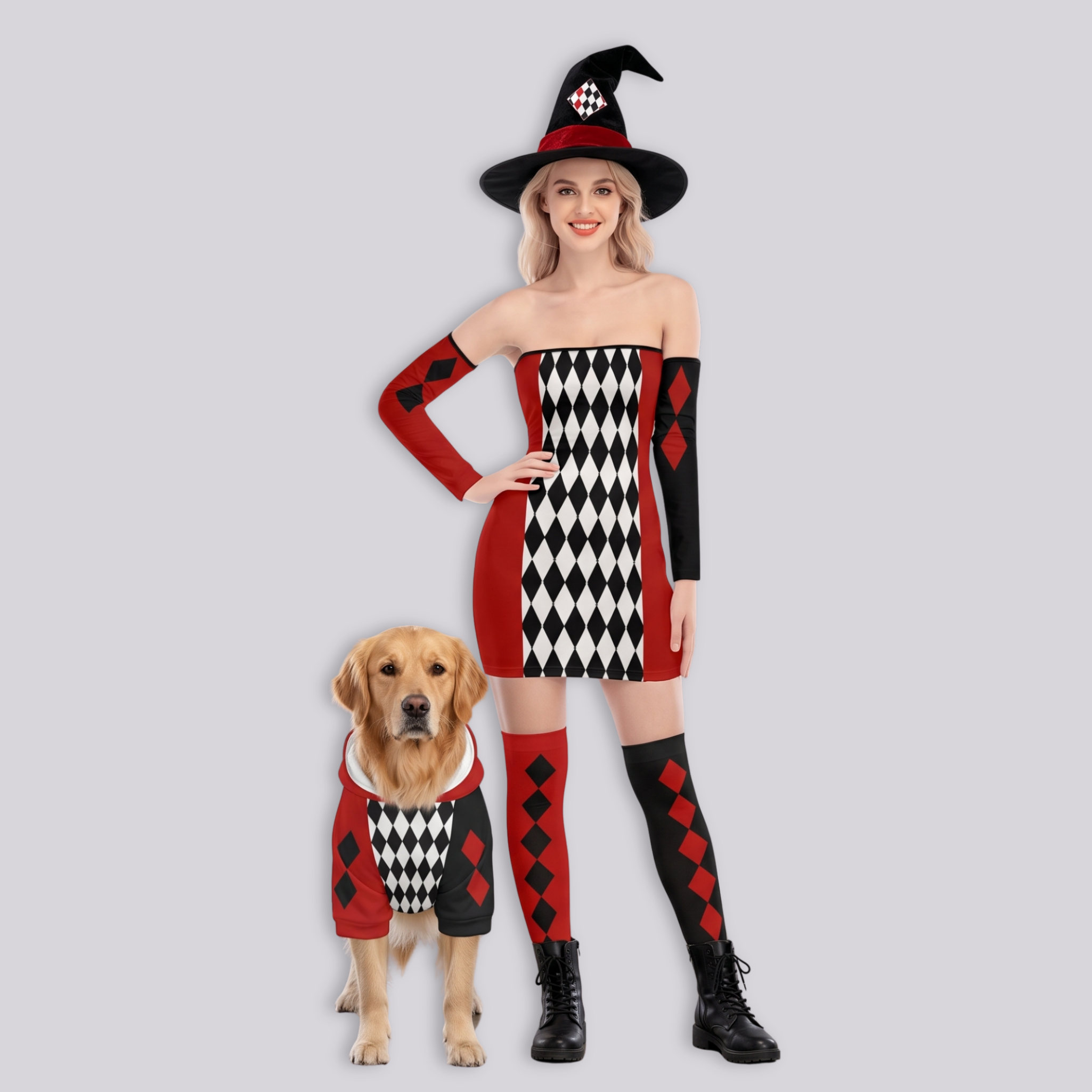 Harlequin Jester Dress & Pet Hoodie